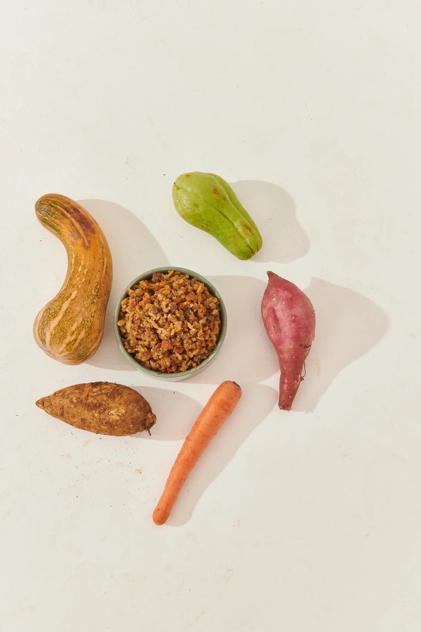 Como fazer a transição para alimentação natural do seu cão